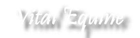 Vital Equine Logo